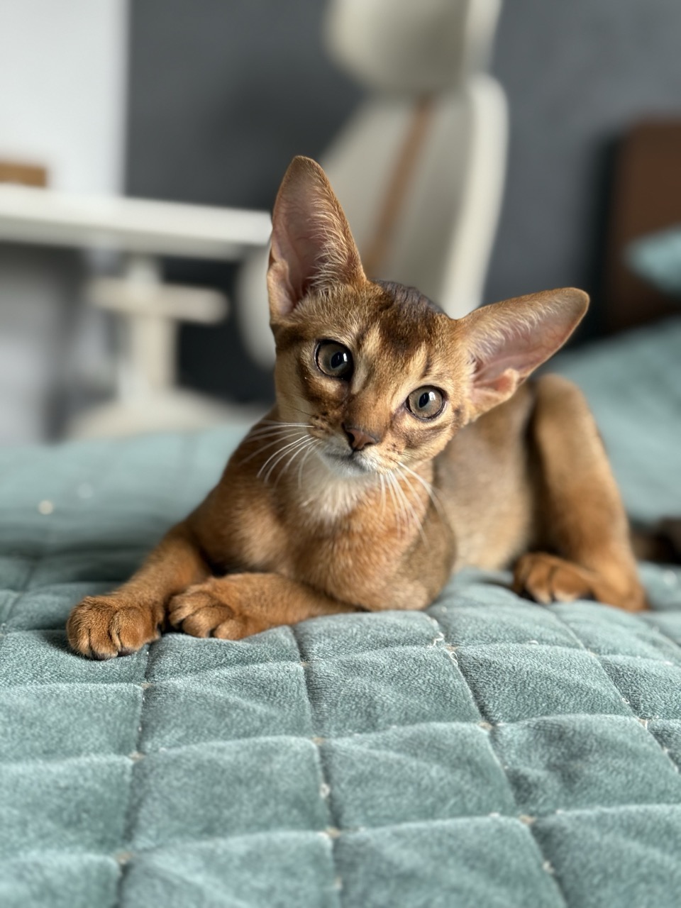 img 1819 — krupnyj razmer 2