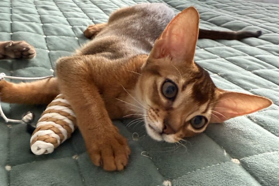 img 1503 — krupnyj razmer 2 edited