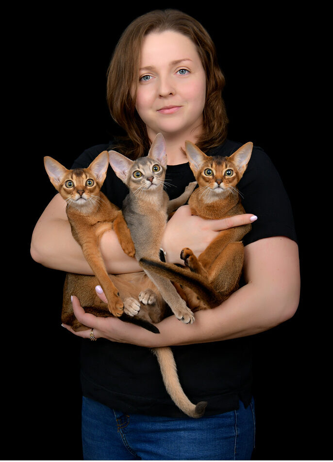 Заводчик питомника абиссинских кошек Regal Abyss с котятами дикого и голубого окрасов